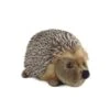 Living Nature Hedgehog Medium Plush Toy -Cheap Toy Store GUEST 18d5c462 735c 4b9f 8fd2 715d4e45a033