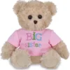 Bearington Ima Big Sister Plush Stuffed Animal Teddy Bear In Pink T-Shirt, 12 Inches 2 Bearington Ima Big Sister Plush Stuffed Animal Teddy Bear In Pink T-Shirt, 12 Inches -Cheap Toy Store GUEST 2b88ae71 b37c 4280 af6d b95b41a2c25e