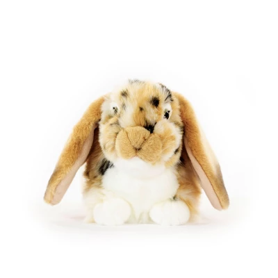 Living Nature Brown Dutch Lop Ear Plush Toy 3 Living Nature Brown Dutch Lop Ear Plush Toy