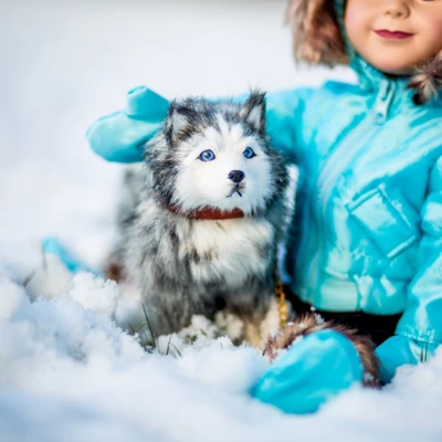 The Queen's Treasures 18 In Doll 13 Pc Ski Clothes And Dog 6 The Queen's Treasures 18 In Doll 13 Pc Ski Clothes And Dog - Image 4