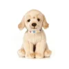 Living Nature Giant Golden Lab Puppy Plush Toy -Cheap Toy Store GUEST 425c1b70 4bf7 4f8b b39d a8affbca6fa7