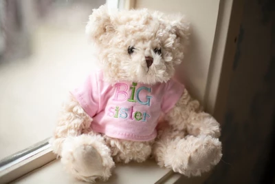 Bearington Ima Big Sister Plush Stuffed Animal Teddy Bear In Pink T-Shirt, 12 Inches 4 Bearington Ima Big Sister Plush Stuffed Animal Teddy Bear In Pink T-Shirt, 12 Inches - Image 2