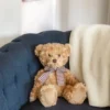 Bearington Theodore Brown Plush Stuffed Animal Teddy Bear, 17 Inches 2 Bearington Theodore Brown Plush Stuffed Animal Teddy Bear, 17 Inches -Cheap Toy Store GUEST 7bf3c423 ffa9 4802 b91d f6f11d0d9f88