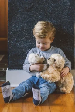 Bearington Lil' Bisquit Plush Labradoodle Stuffed Animal Puppy Dog, 6.5 Inch