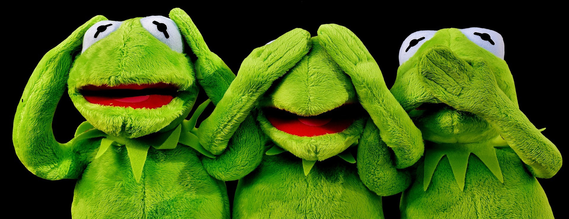 Cheap Toy Store -Cheap Toy Store kermit 2687975 1920